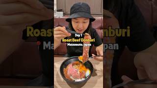 Were starting our 1 year travel around the world with roast beef donburi in Japan [upl. by Palua]