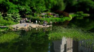 New York Minute a time lapse of Central Park [upl. by Carling]