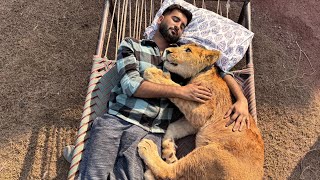 Lion Or Turab Best Friends Bn Gaiy Dono Gly Lg K So Gaiy😍 [upl. by Enilasor]