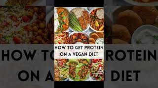 How to get protein on a vegan diet [upl. by Blackman]