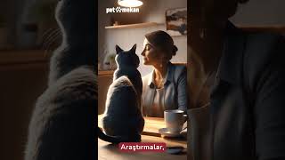 Kedilerin İnsan Sağlığı Üzerindeki Etkileri🐾💕 kedi kediaski bilgi cat kedibakımı [upl. by Dulcinea]