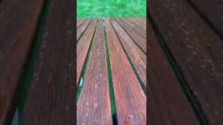 Watch DuroGrits waterrepellent properties in action rubiomonocoat [upl. by Oballa957]