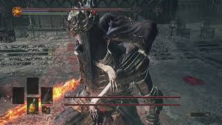 Lothric and Lorian Twin Princes Glitch and Freeze  DS3 2024 [upl. by Taveda]