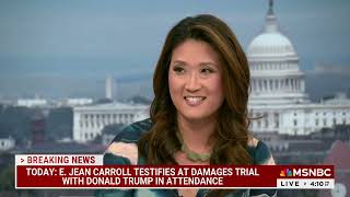 Glaringly obvious Trump lawyer doesn’t know what the hell she’s doing legal analyst [upl. by Kwarteng]