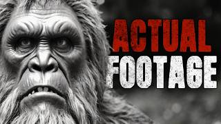 Top 13 CREEPIEST Bigfoot Videos EVER 2024 [upl. by Monique]