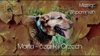 Miesiąc Wspomnień  Marta  Szarik i Orzech 🎈 [upl. by Salomo]