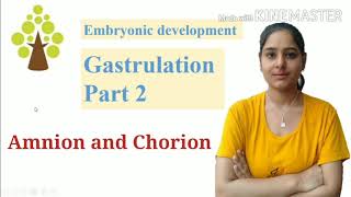 Extraembryonic membrane  Amnion Chorion Allantois and Yolk sac  Gastrulation part 2 [upl. by Eytteb]