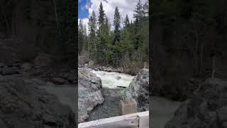 Double Bridge over Vallecito Creek Colorado bridge nationalforest colorado mountains dayhike [upl. by Jakie479]