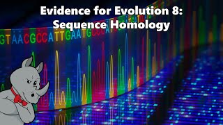 Evidence for Evolution  Sequence Homology [upl. by Heman]