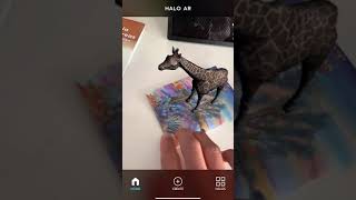 Halo AR  The best tool for augmented reality creation and exploration [upl. by Sura]