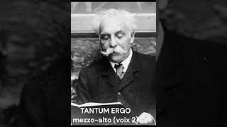 Fauré Tantum ergo mezzo alto [upl. by Fabri]