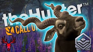 This Is How I Got A MASSIVE Diamond Blackbuck💎 theHunter Call of the Wild [upl. by Zebada]