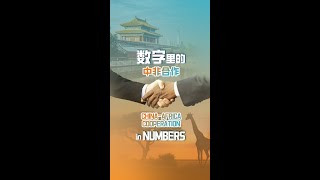 ChinaAfrica cooperation in numbers [upl. by Naget]