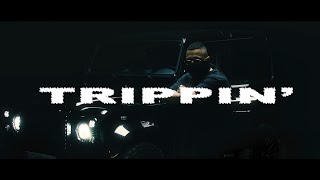 LUCIANO  TRIPPIN [upl. by Ioab599]