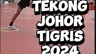 Tekong Johor Tigris 2024 [upl. by Annyrb261]