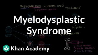 Myelodysplastic syndrome  Hematologic System Diseases  NCLEXRN  Khan Academy [upl. by Eachelle]