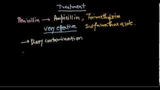 Listeria monocytogenes treatment [upl. by Attenaj34]