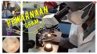 Tutorial Prosedur PEWARNAAN GRAM dengan Penjelasannya [upl. by Leciram]