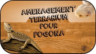 Tuto  Aménagement dun terrarium pour pogona [upl. by Thordis]