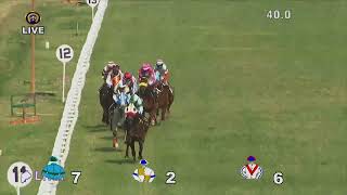 CAVAROZZI with L Alex Rozario up wins The Karkala Plate 2023 [upl. by Nagel]