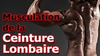 Exercice de Musculation de la Ceinture Lombaire [upl. by Clareta]