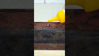 How to drill metal correctly diytools [upl. by Him634]