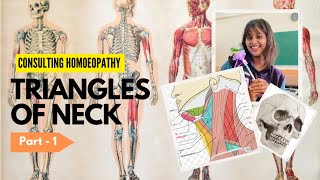 Triangles of Neck  Part1  Consulting Homoeopathy  Shreyan Tayal [upl. by Marasco913]