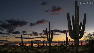 Bob Dylan 03Mar2022  Arizona Federal Theatre Phoenix USA Audio Complete Set [upl. by Stormie53]