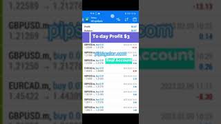 Pips Gator EA Performance Real Account deposit 1000 profit 753 🤑 shorts [upl. by Haramat]