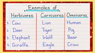 10 Examples of Herbivores Carnivores and Omnivores  Herbivores Carnivores and Omnivores Animal Name [upl. by Anirtal]