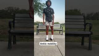 Ankle mobility [upl. by Azilem]