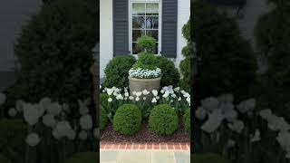 GARDENING ideas for HOME [upl. by Ender]