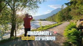 北歐四國挪威森林健行篇Hardangerfjord Hike in Norway（2024052122） [upl. by Timms809]