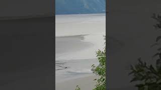 Turnagain Arm Bore Tide part 2 alaska nature [upl. by Oilcareh]