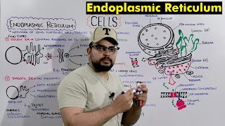 Endoplasmic reticulum Structure and Functions Detailed Series [upl. by Diskin184]