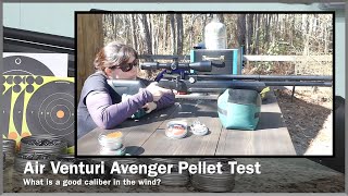 AIR VENTURI AVENGER – What 25 Caliber Pellet Is Most Suitable for Windy Conditions [upl. by Margy]