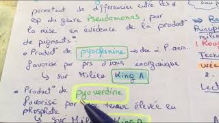 Tp systématique  famille des pseudomonadaceae  L3 microbiologie  🏨🧪 [upl. by Osber297]