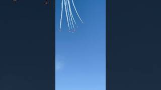 Canadian SnowBirds in Reno jets viral shorts airshow2024 planes avgeek [upl. by Ruby115]