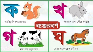 বাংলা ব্যঞ্জনবর্ণ ক খ গ ঘ  Bangla Banjonborno  ছবি দেখে ব্যঞ্জনবর্ণ শিখি ও বাক্যগঠন করি [upl. by Kinnard889]