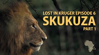 SKUKUZA  The best GAME VIEWING in South Africa  Lost in Kruger Episode 6 [upl. by Sueddaht668]