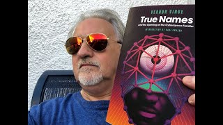 VERNOR VINGE TRUE NAMES and My Nineties Science Fiction Hell 1990s SF TBR Revisited Part 1 [upl. by Anallij]