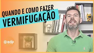 156  VERMÍFUGO PARA CÃES E GATOS  QUANTO TEMPO DAR REMÉDIO DE VERME [upl. by Suellen211]