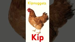 Kipnuggets [upl. by Aniratak]