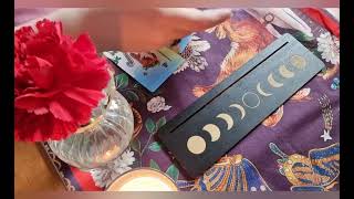 Tarot Piscis agosto 2024 [upl. by Annaiuq142]