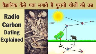 Carbon Dating कैसे काम करती है  How Radio Carbon Dating Works [upl. by Douville]