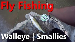 Fishing Streamers for Walleye and Smallmouth Bass  Ten Mile Creek PA [upl. by Ocire40]