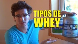 WHEY PROTEIN Concentrado Isolado e Hidrolisado [upl. by Zohar]