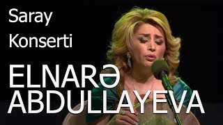 Elnarə Abdullayeva  Aşıq Əli Duet  Zəfər Çalacağıq Adlı Solo Saray Konserti 2015 [upl. by Annoyi]