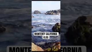 Went to Monterey California to vlog montereybay montereycalifornia monterey california shorts [upl. by Farrah]