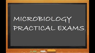 Microbiology 998 a Practical Exam Syllabus Introduction Spotters Experimental Animals Instruments [upl. by Heater560]